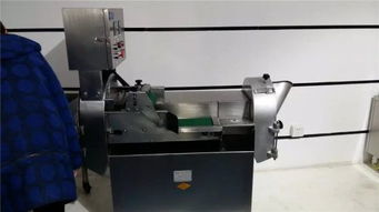 廠家直銷不銹鋼切菜機(jī) 多功能仿手工高效切菜機(jī)助力廚房升級(jí)